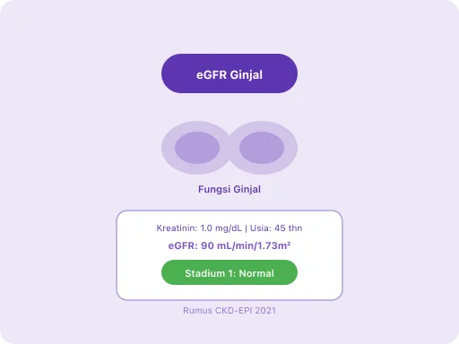 Ilustrasi Cek Fungsi Ginjal dengan Kalkulator eGFR