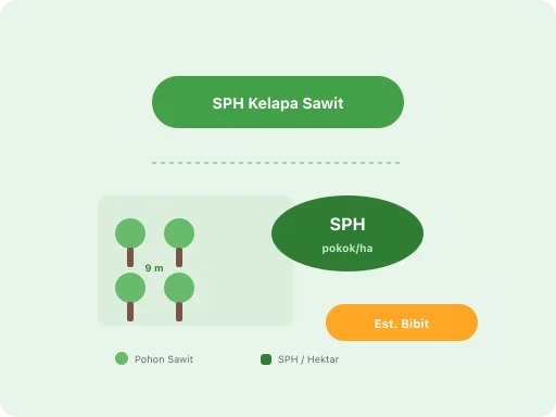 Ilustrasi Hitung Jumlah Pohon Sawit per Hektar (SPH)